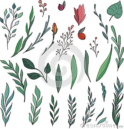 Vector set of doodling elements of twigs of leaves Vector Illustration